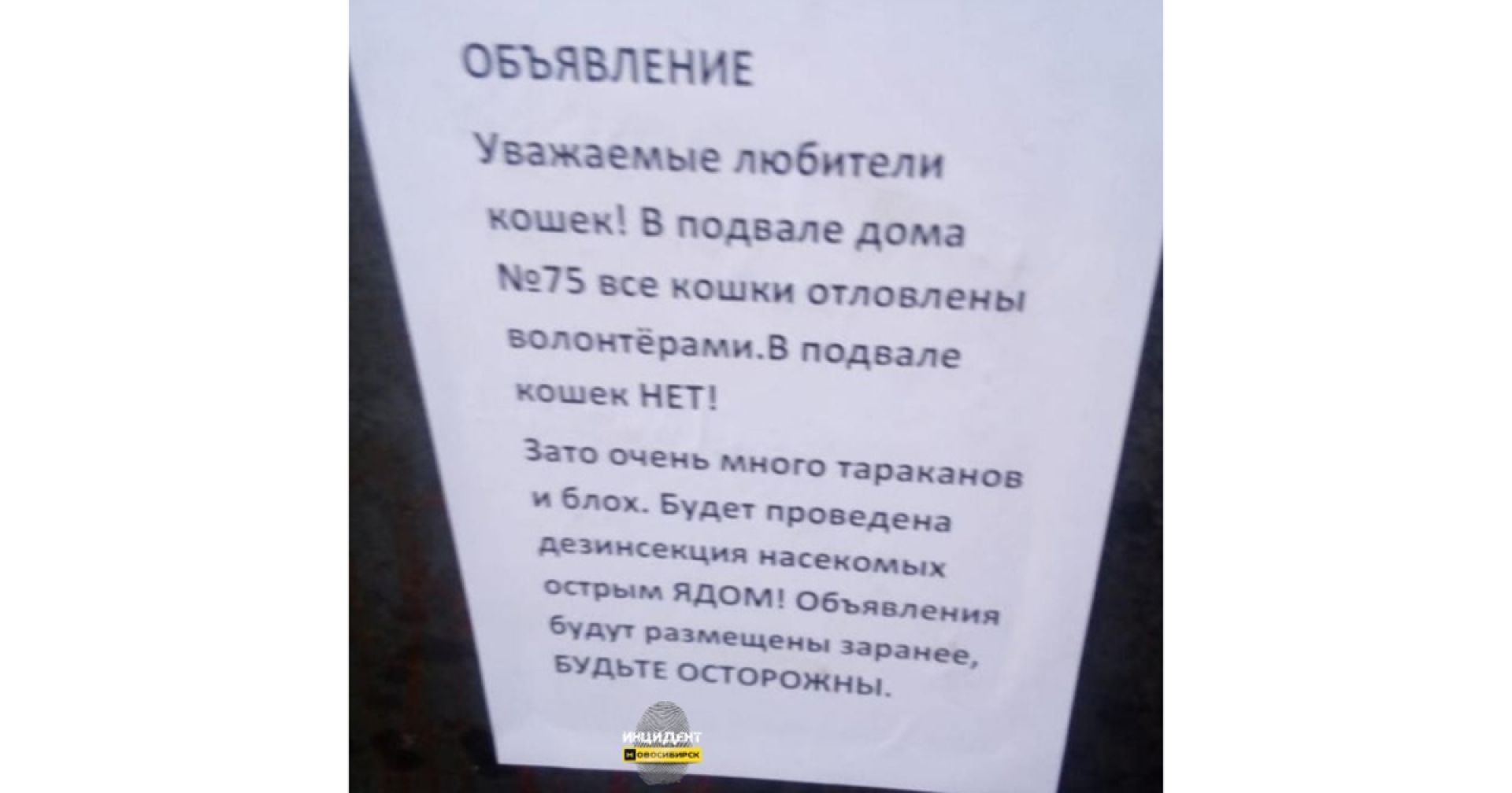 Новосибирцы пожаловались на управляющую компанию, устроившую живодёрню |  Ведомости законодательного собрания НСО